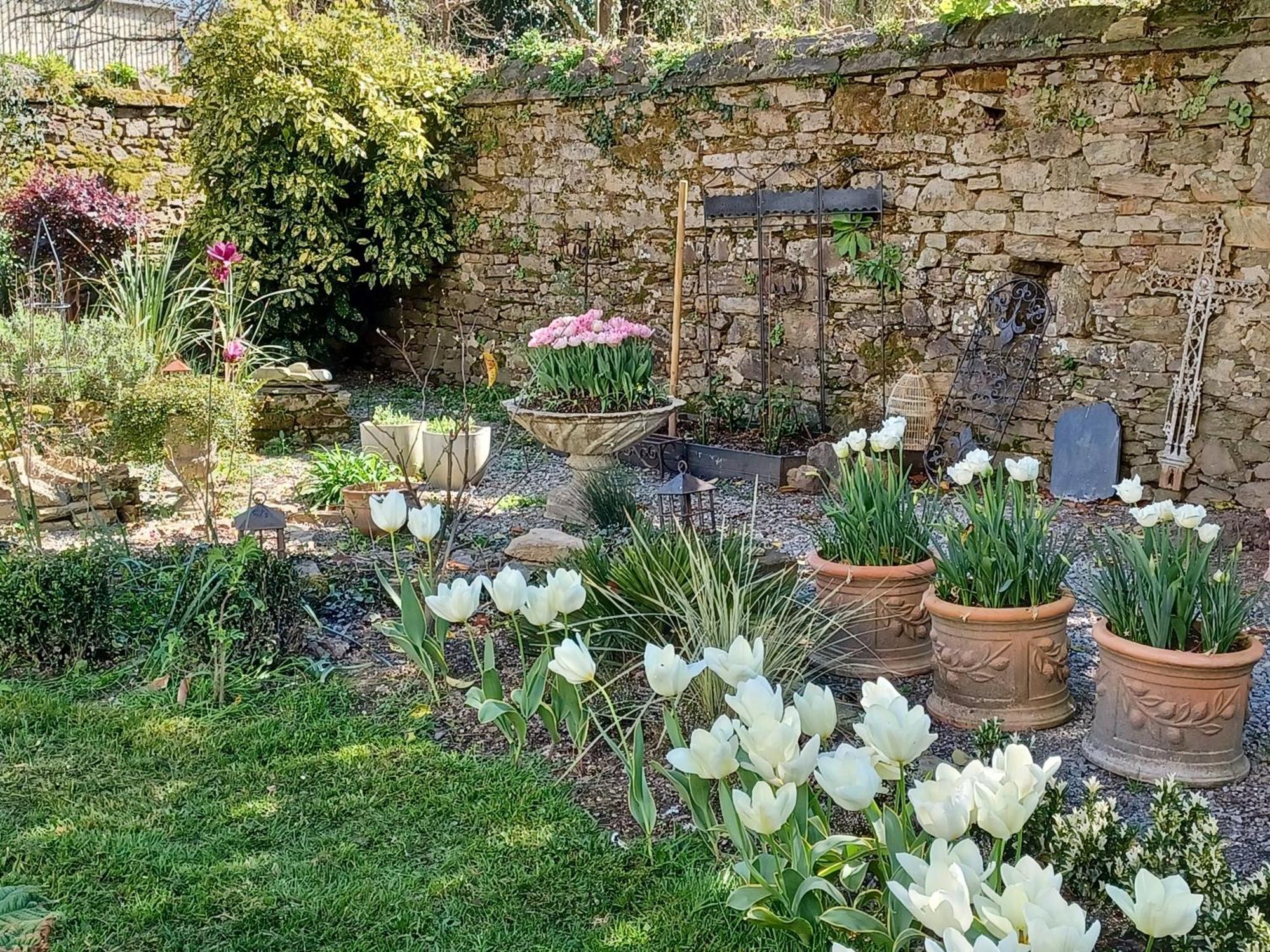 Bed and Breakfast Le Banellou Quimper Zewnętrze zdjęcie
