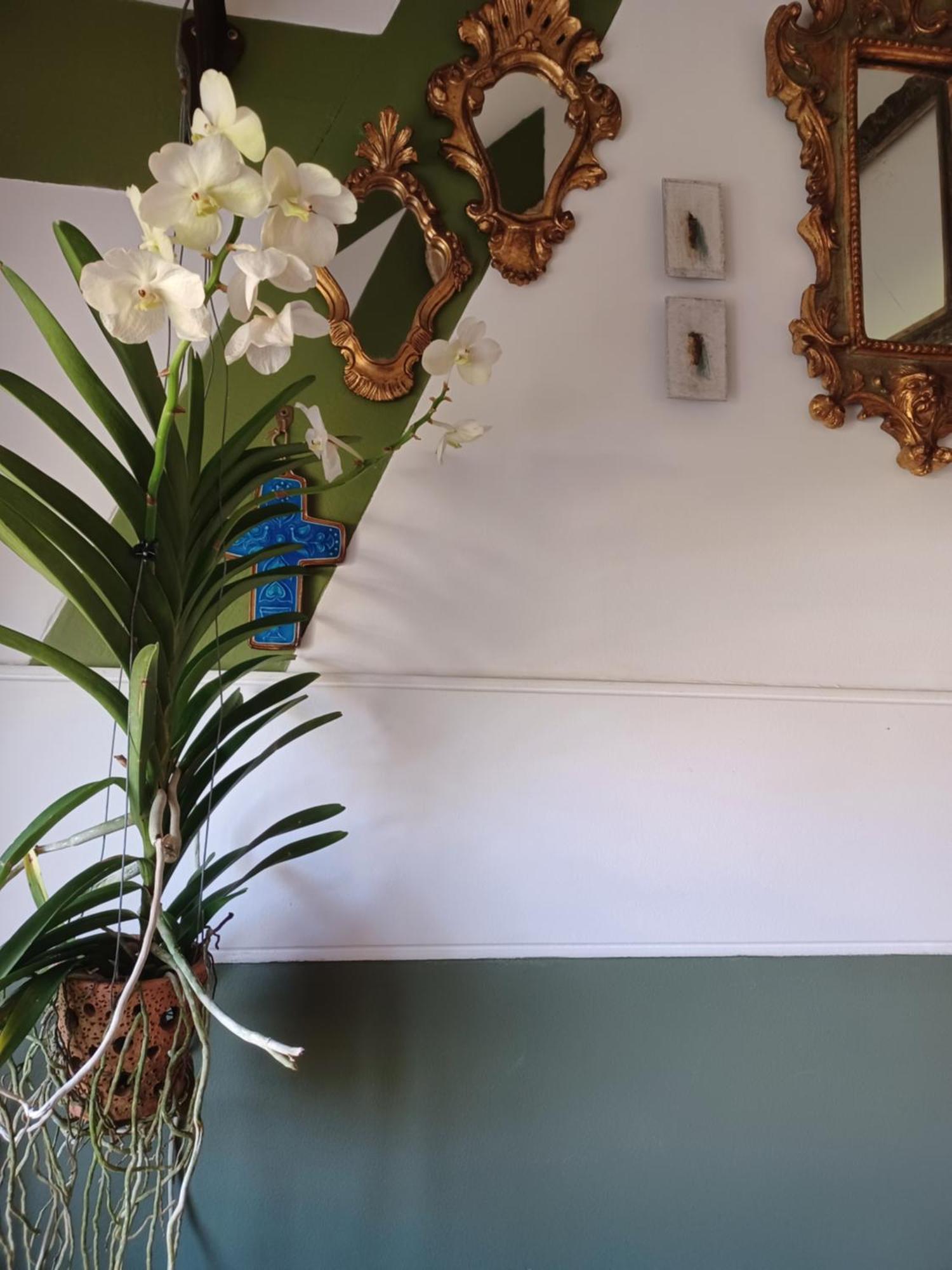 Bed and Breakfast Le Banellou Quimper Zewnętrze zdjęcie